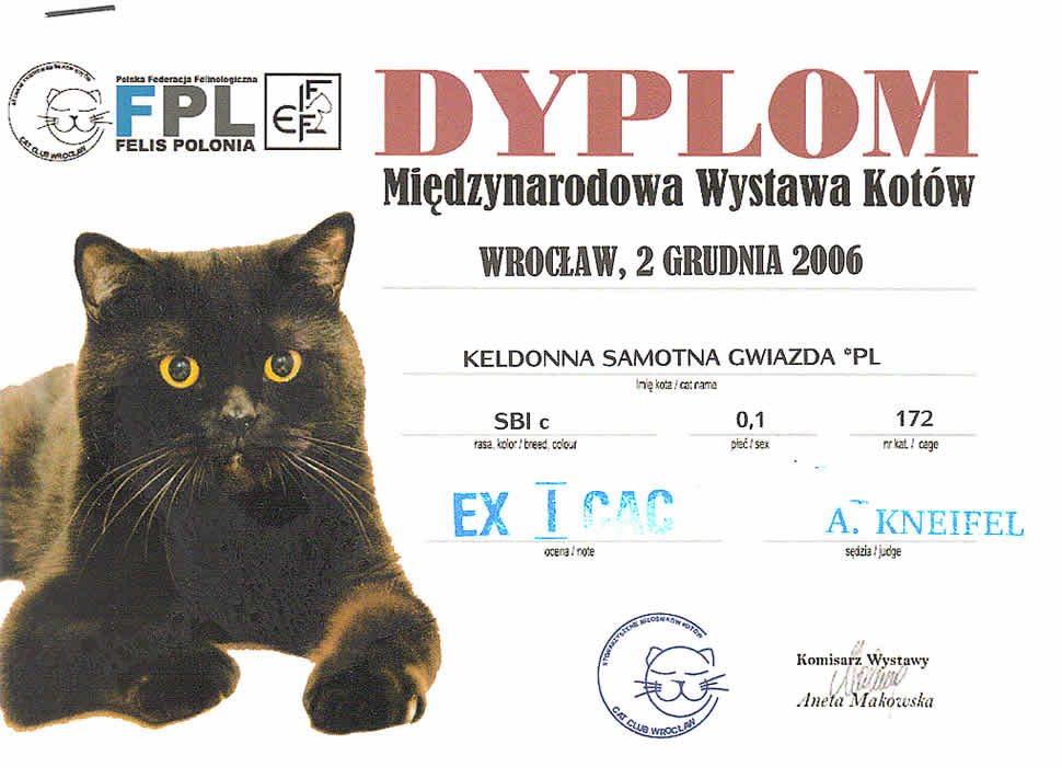 Wroc�aw 02-12-2006r.