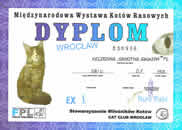 Wroc�aw 03-09-2006r.