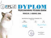 Wroc�aw 03-12-2006r.